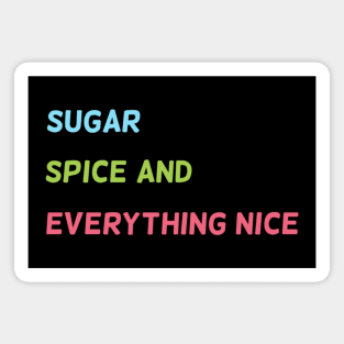Sugar, Spice and Everything Nice Magnet